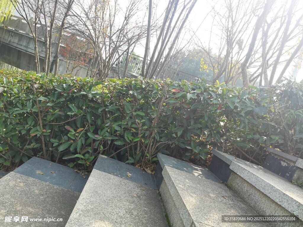 户外石阶旁的绿植景观