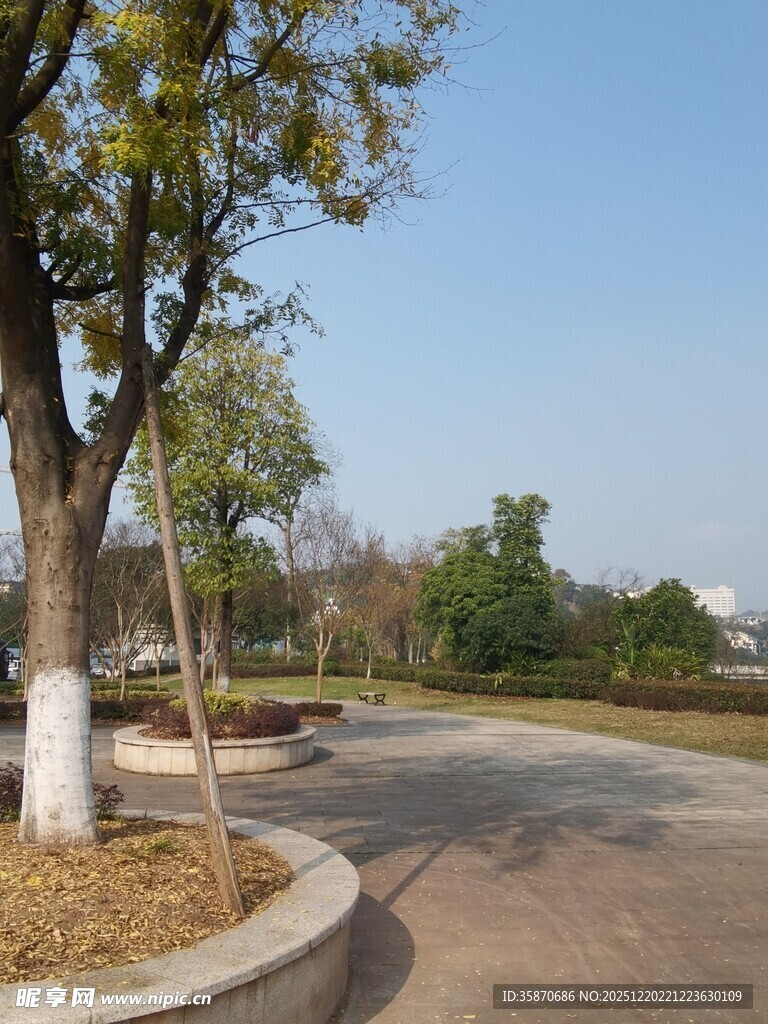 秋日公园弯曲小路与树木