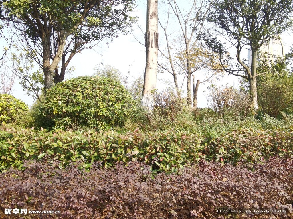 户外多彩植物景观