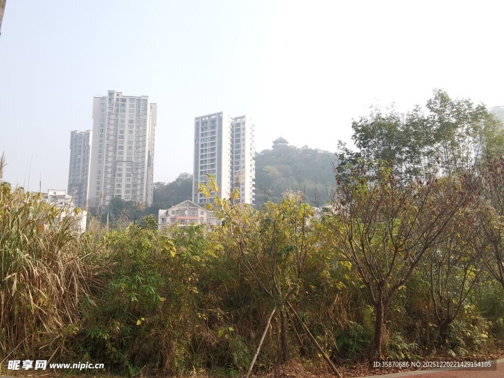 城市边缘的绿植与高楼