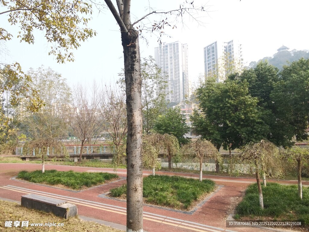 城市中的静谧公园景观