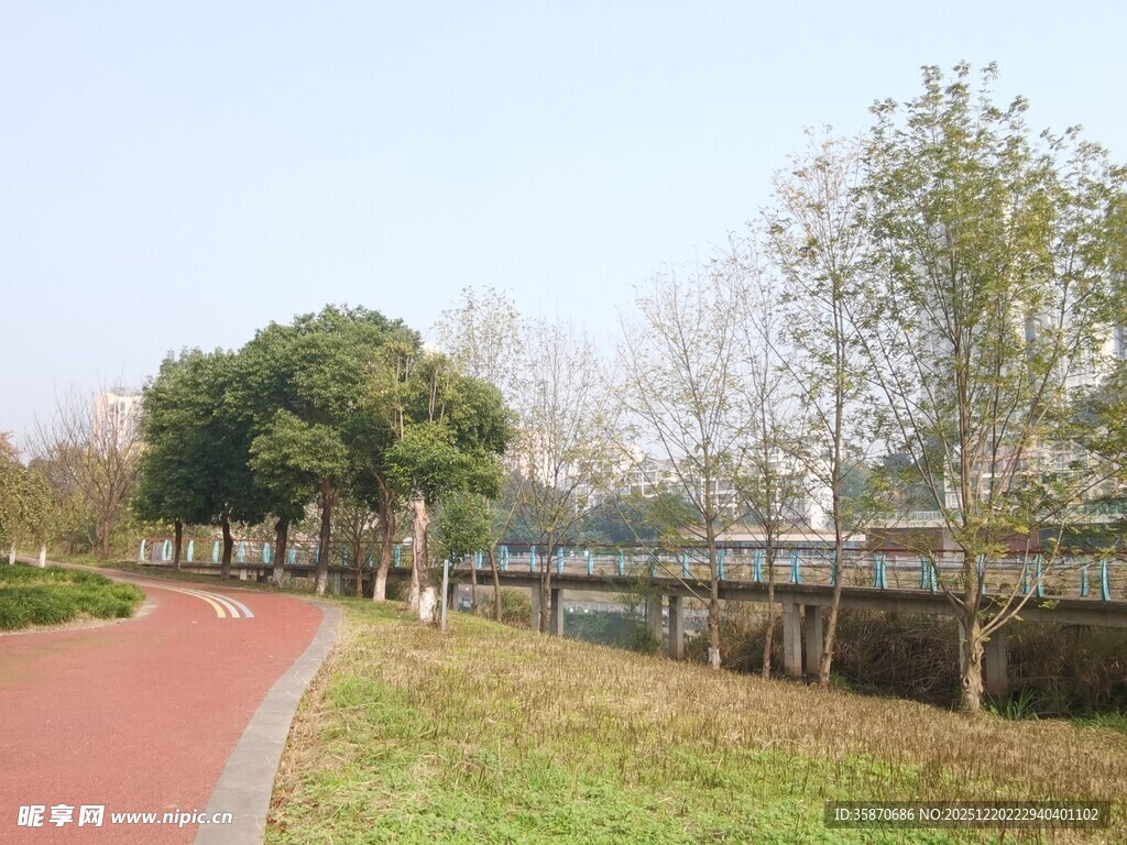 公园红色步道与绿树景观