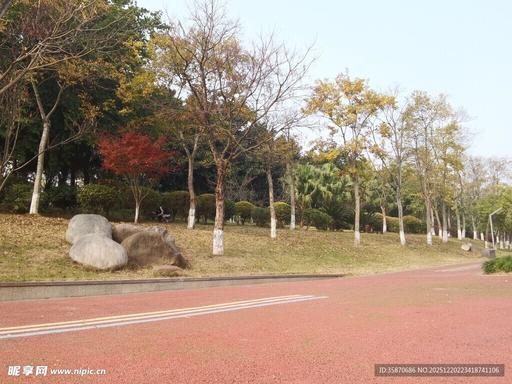 公园红色步道与多彩树木