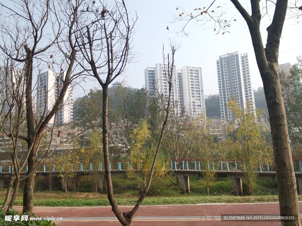 城市公园中的绿树与跑道