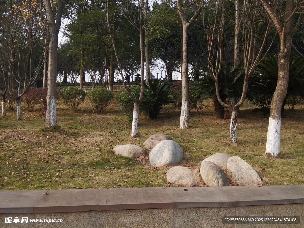 公园草地旁的石头景观