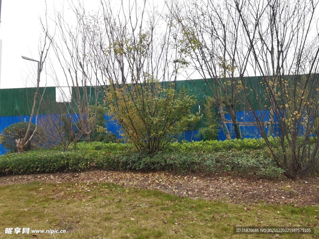 户外绿植与围栏景观