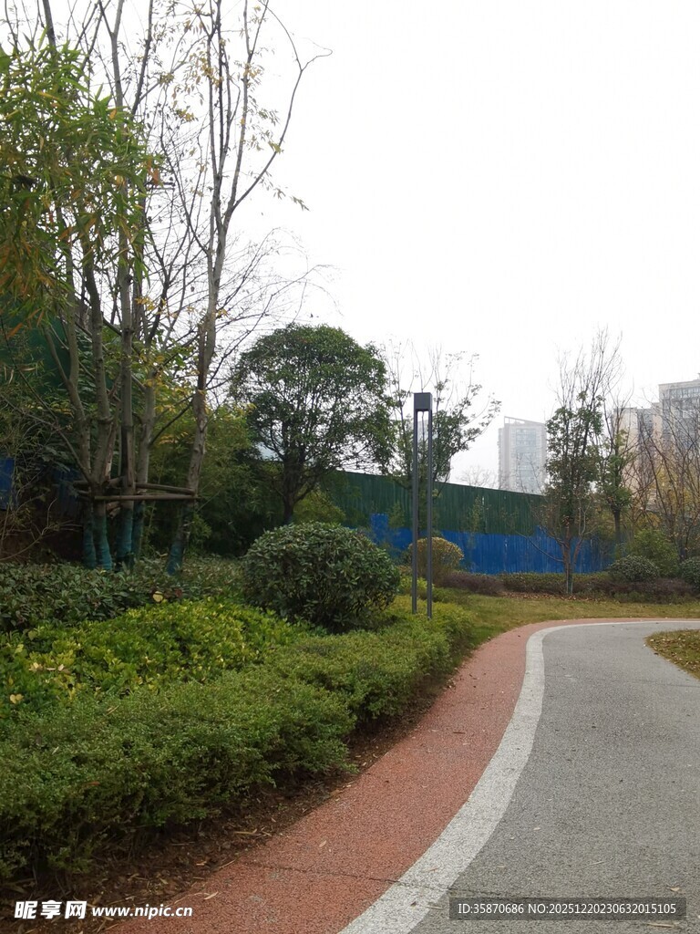 公园蜿蜒小径与绿植景观