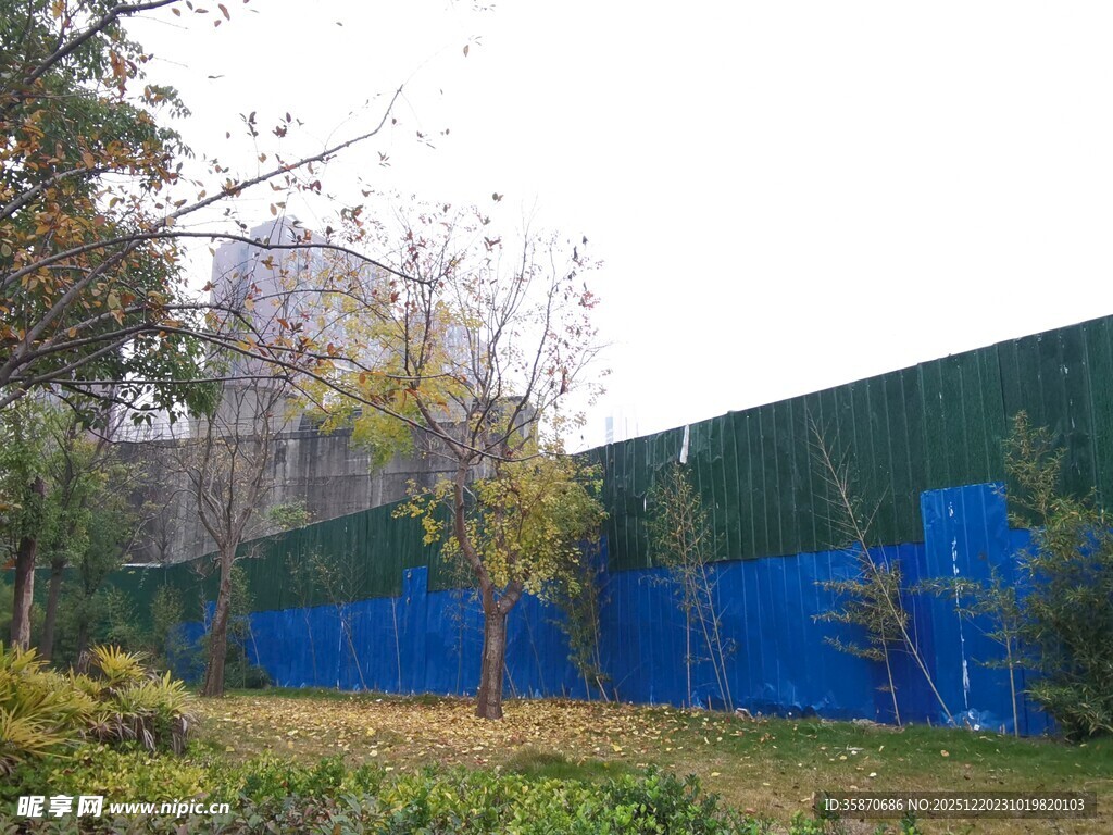 户外蓝色围挡旁绿植景观