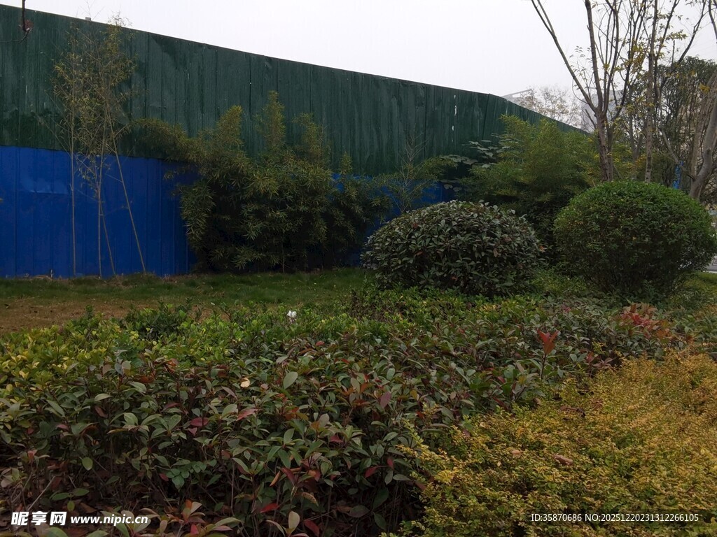 户外绿植景观