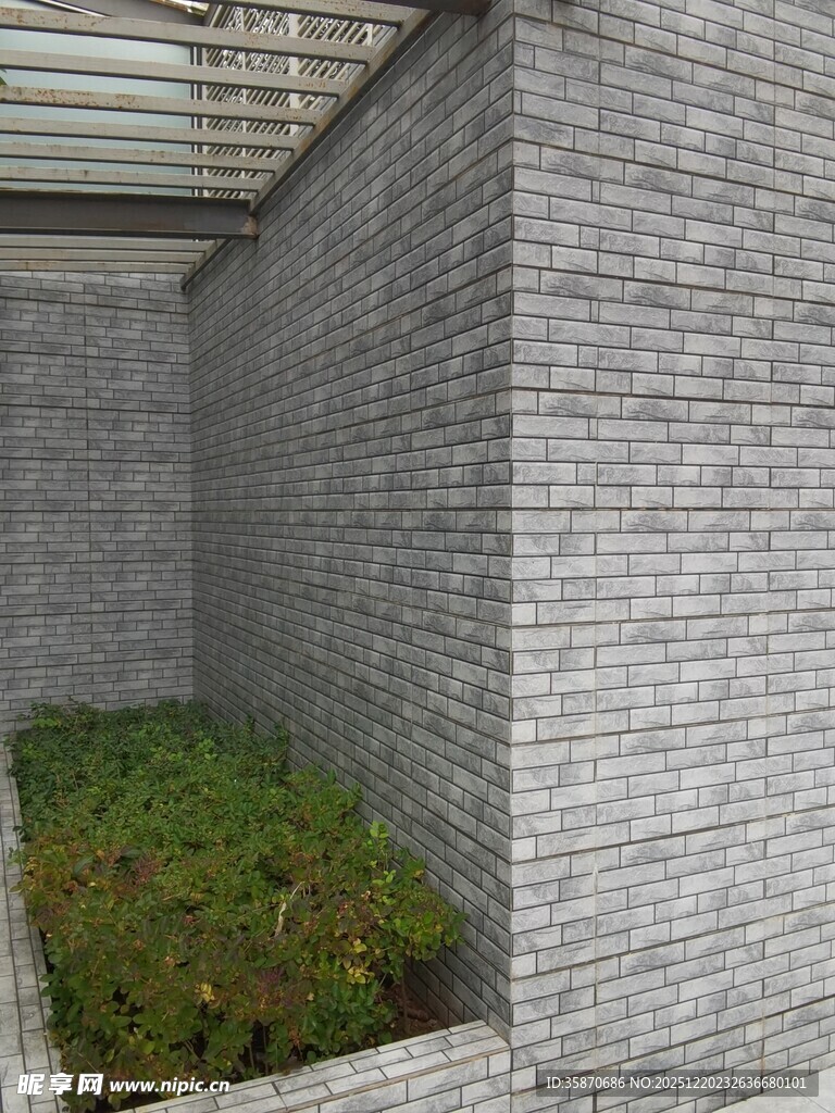 灰色砖墙旁的绿植角落