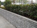砖砌矮墙配绿植景观