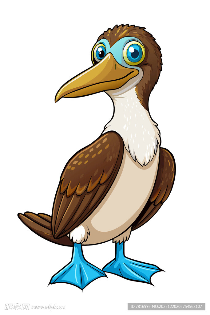 可爱蓝脚鲣鸟卡通形象