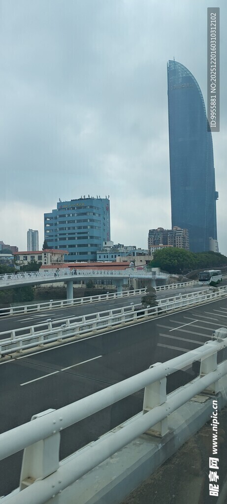 福建厦门城市道路旁的摩天大楼