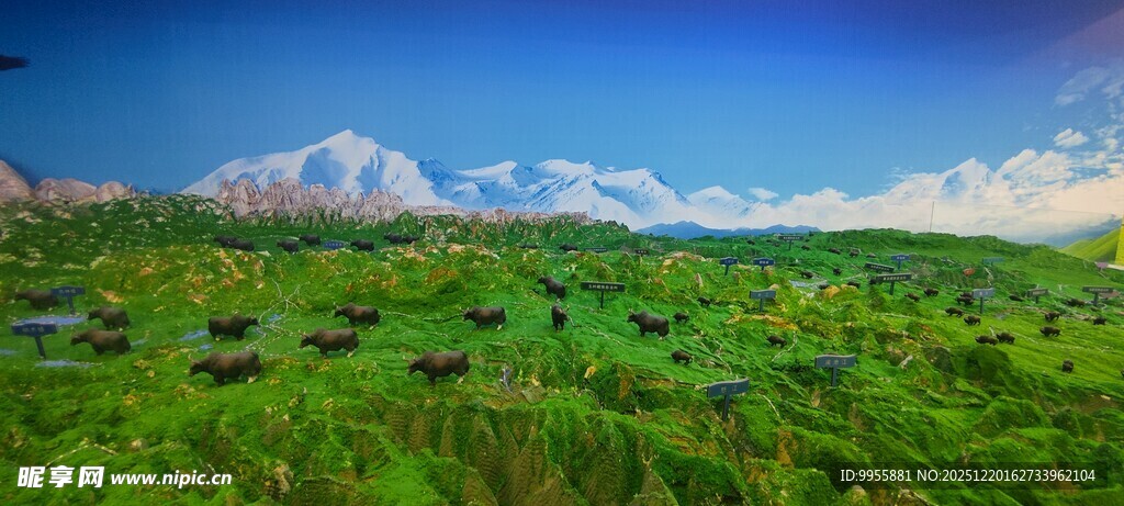 草原风光远处山峦壮丽