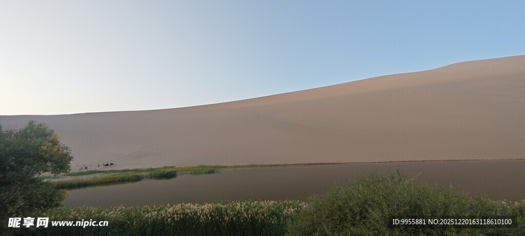 甘肃青海环线沙漠边缘的一抹绿意