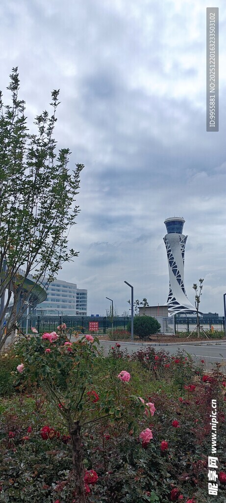 甘肃青海环城市花海中的高耸建筑