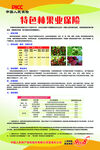 特色种植业保险宣传页
