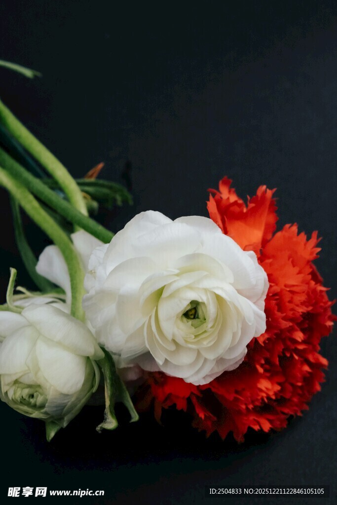 白玫瑰与红康乃馨花束