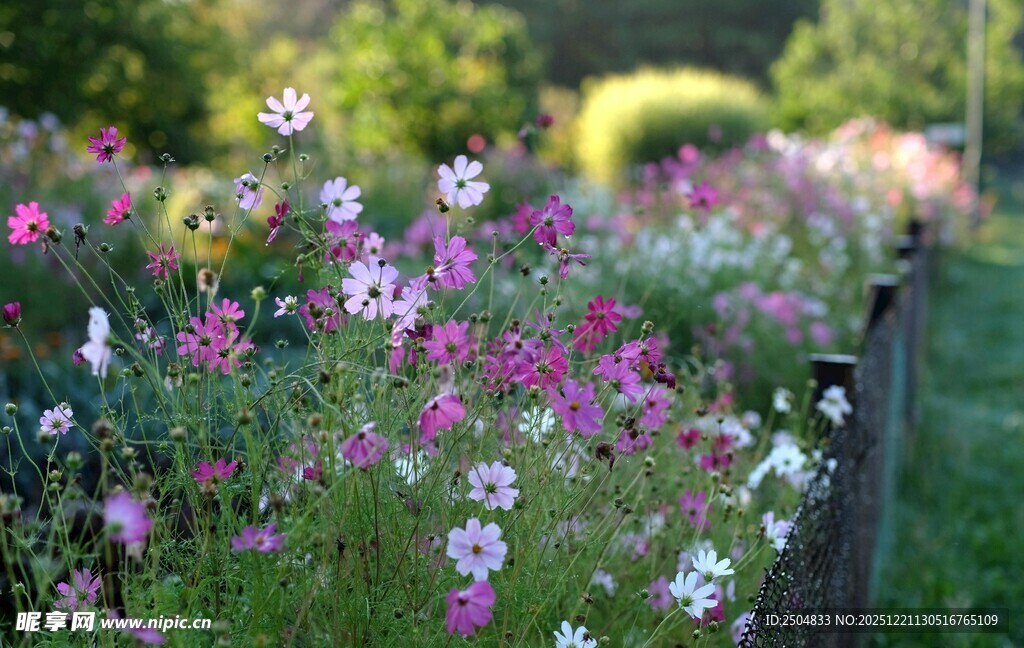 缤纷花丛中的美丽景致