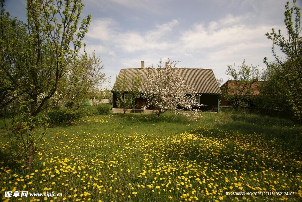 田园草地间的温馨小屋