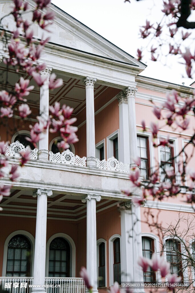 古典建筑旁绽放的烂漫樱花