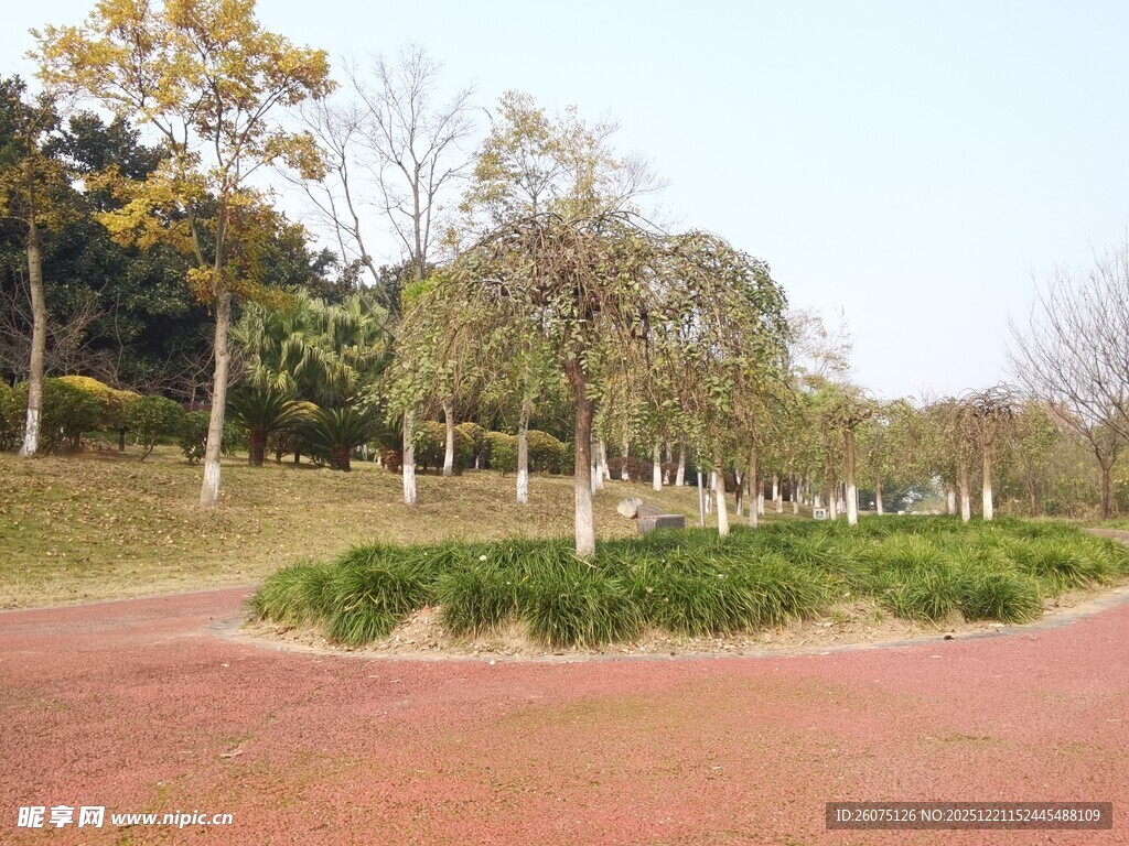 公园红色步道与绿植景观