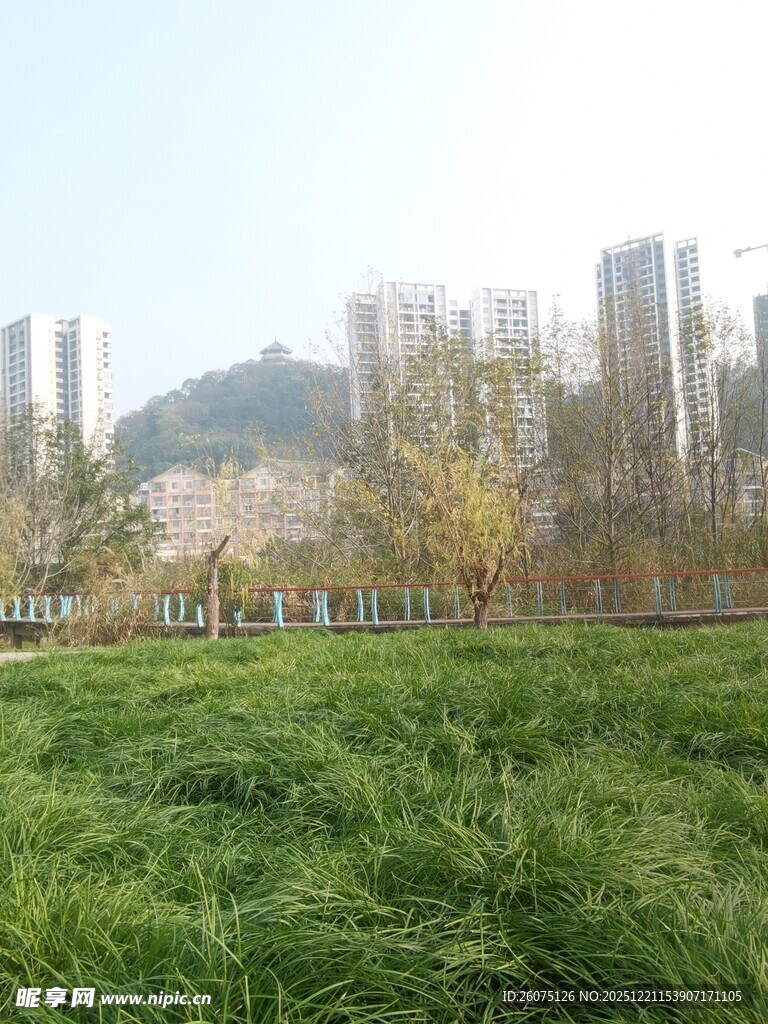 城市边的翠绿草地景观