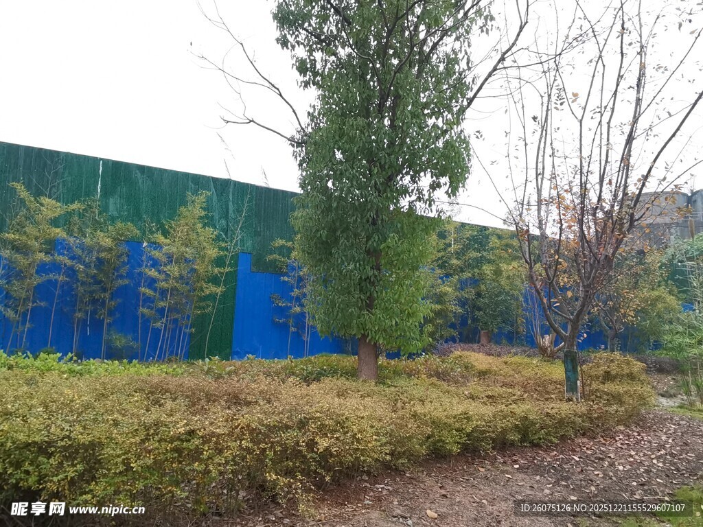 户外绿植景观与围挡