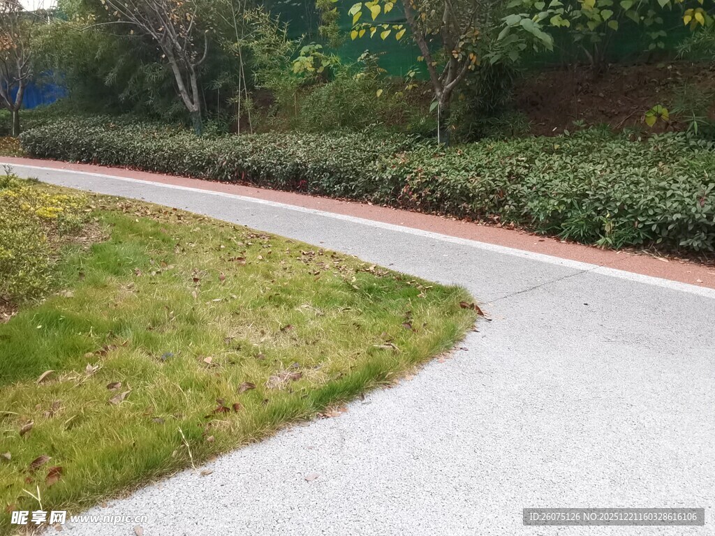 蜿蜒小径旁的绿植景观