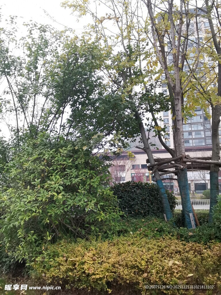 秋日园林绿植景观