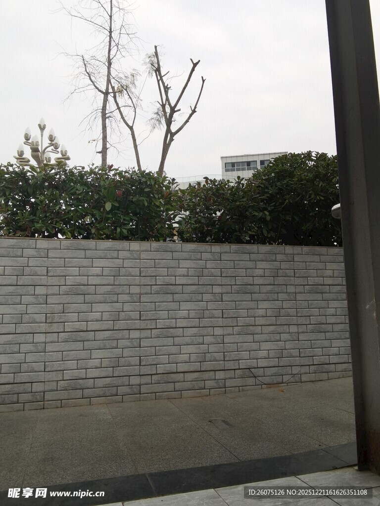 户外砖墙与光秃树木景观