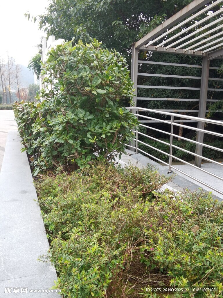 户外绿植环绕的金属结构