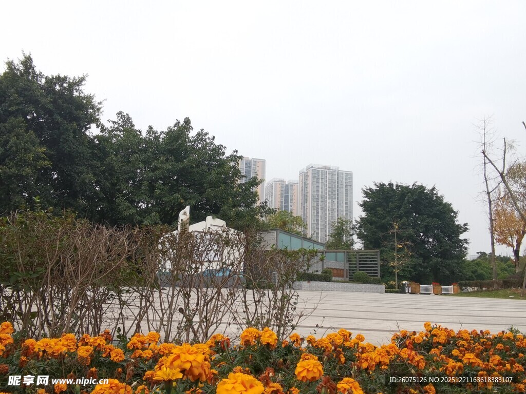 秋日公园菊花与雕塑景观