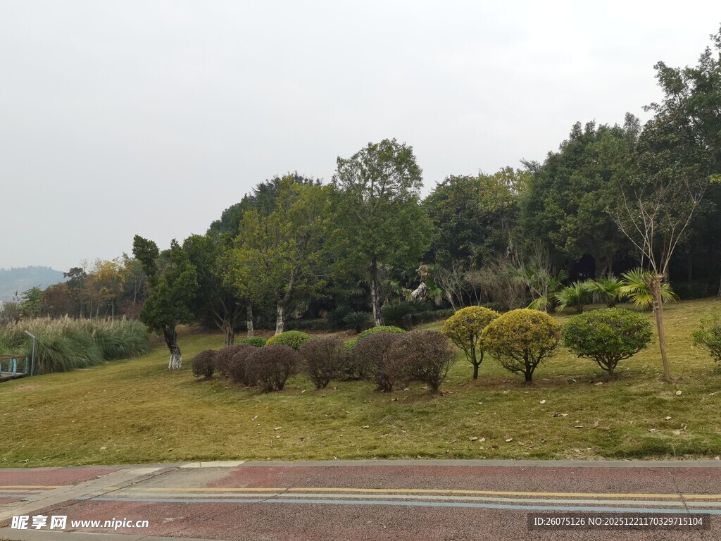 郊外绿意盎然的园林景观