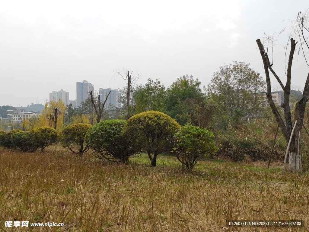 秋日城郊的自然景观