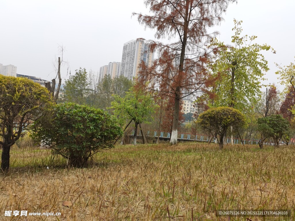 秋日城市公园草地景观