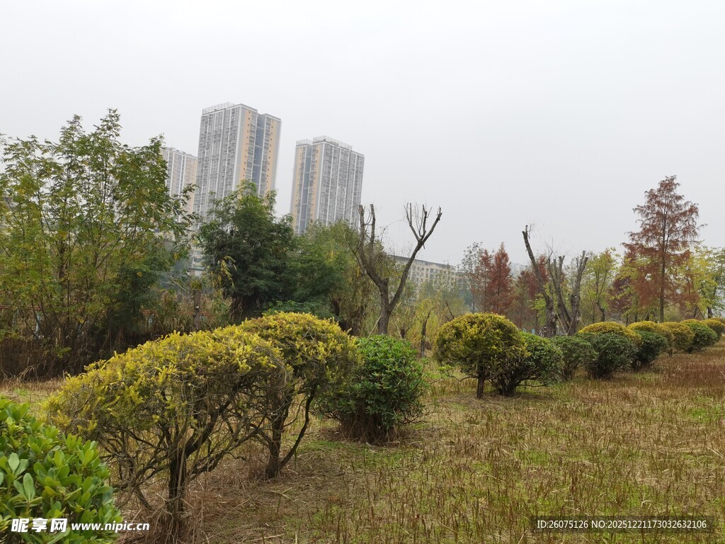 城市中的园林景观