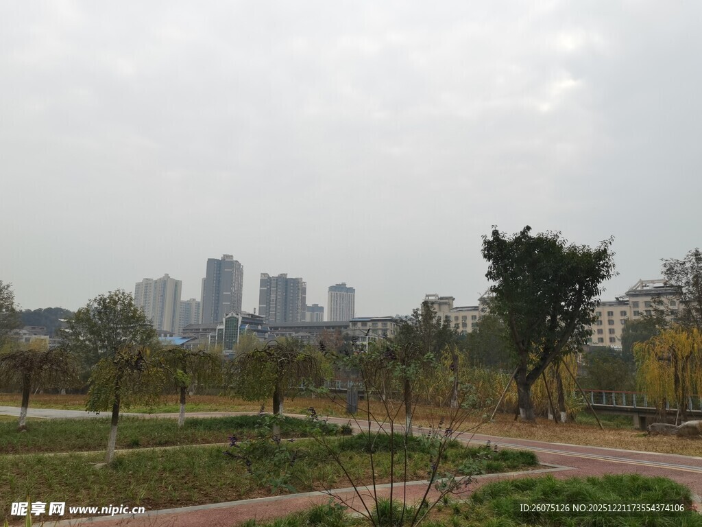 城市公园中的开阔景致