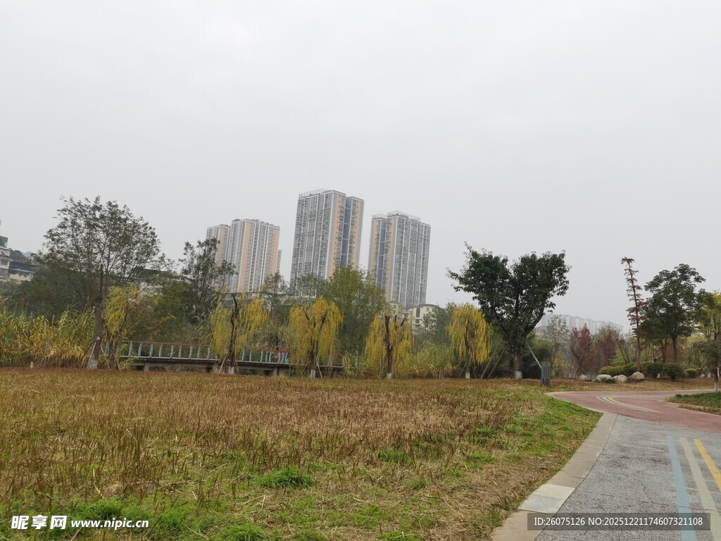 城郊秋日风景小路