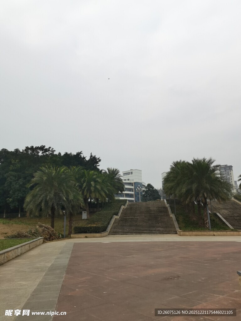 户外开阔场地与绿植景观