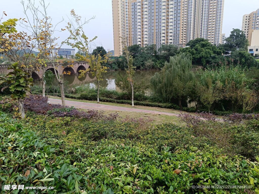 城市中的绿意盎然公园景观