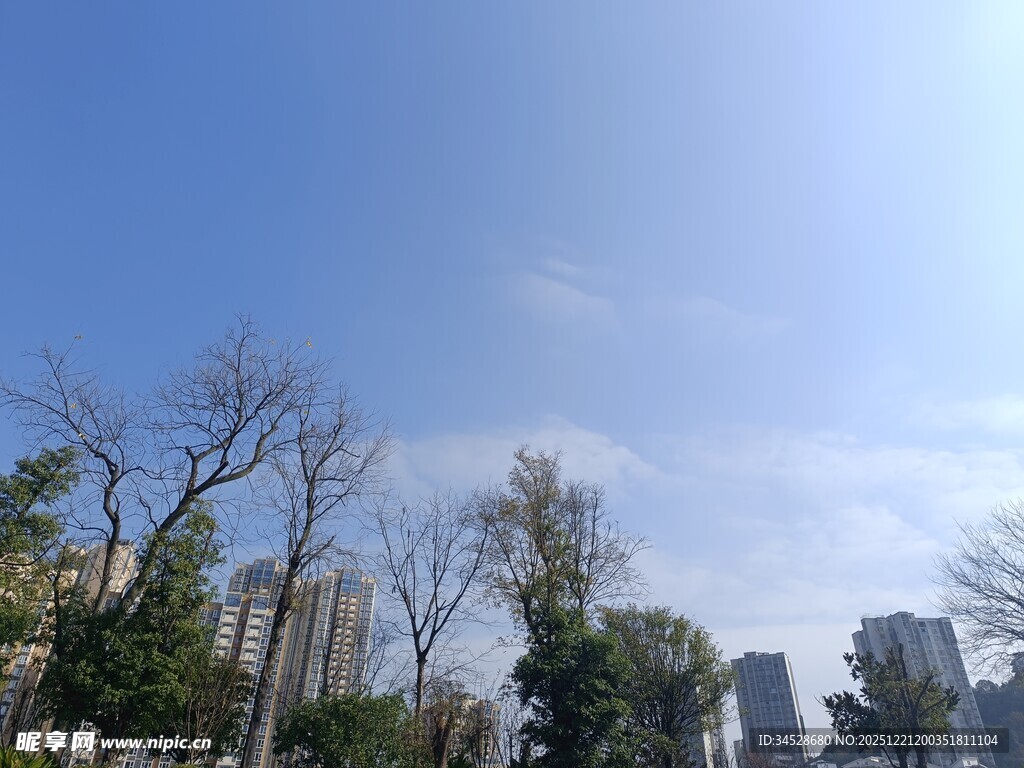 城市蓝天树木景观