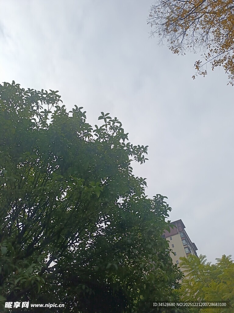 山林间的葱郁树木与峭壁