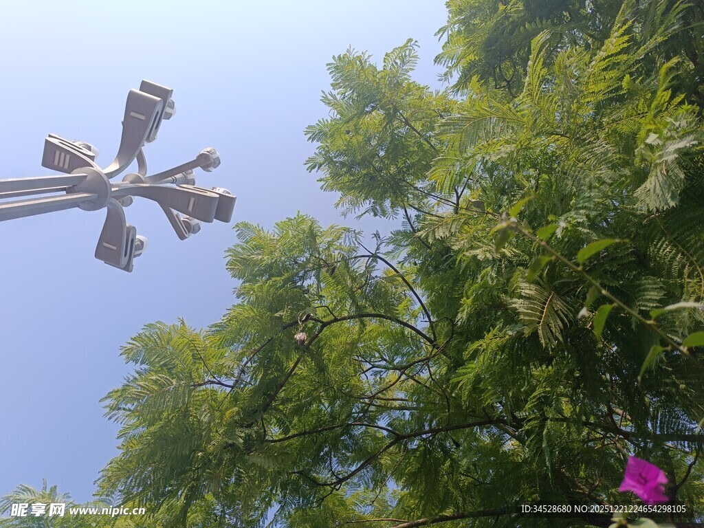 空中风车与葱郁绿树