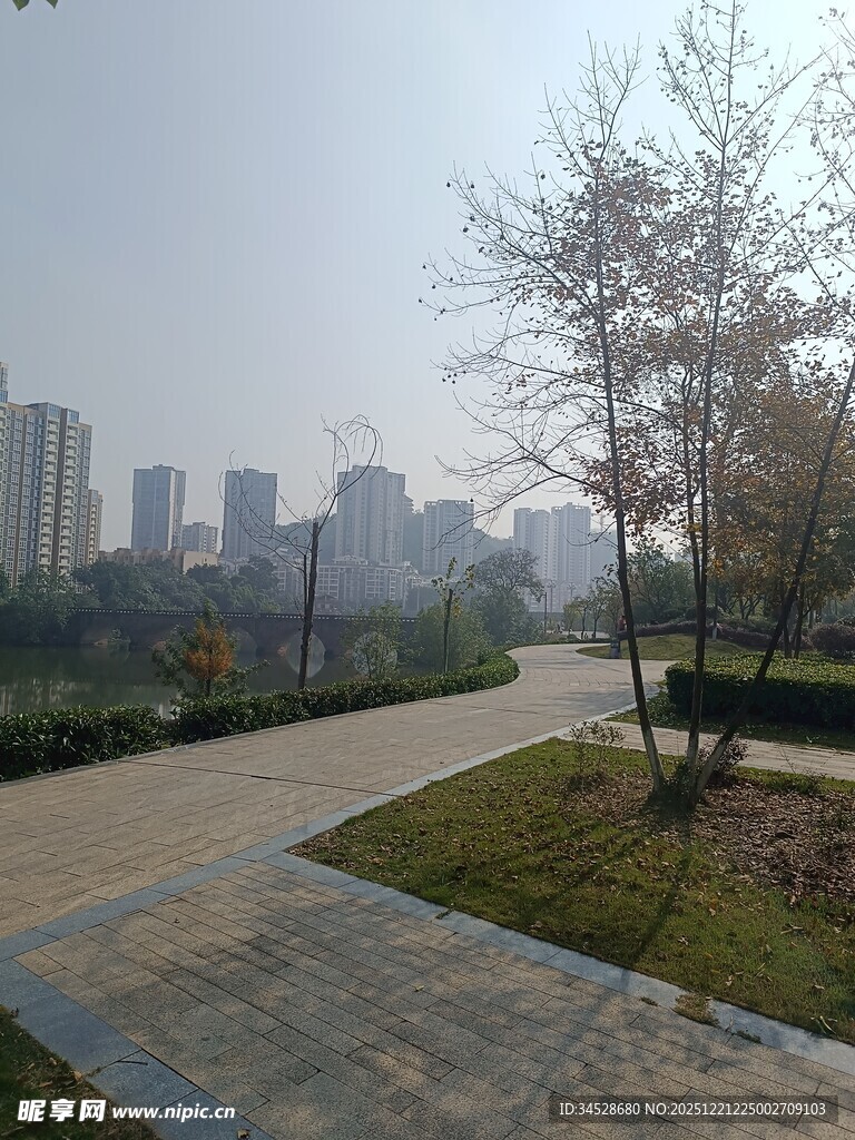 城市公园中的宁静小路