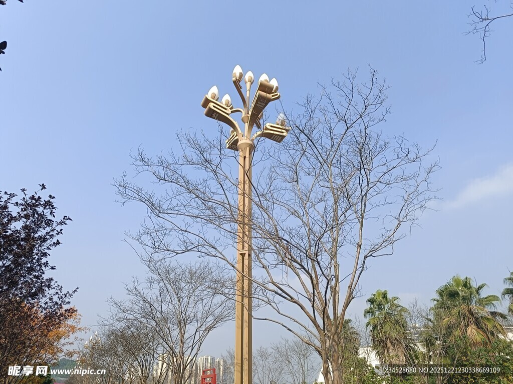 户外木质灯柱与树木景观