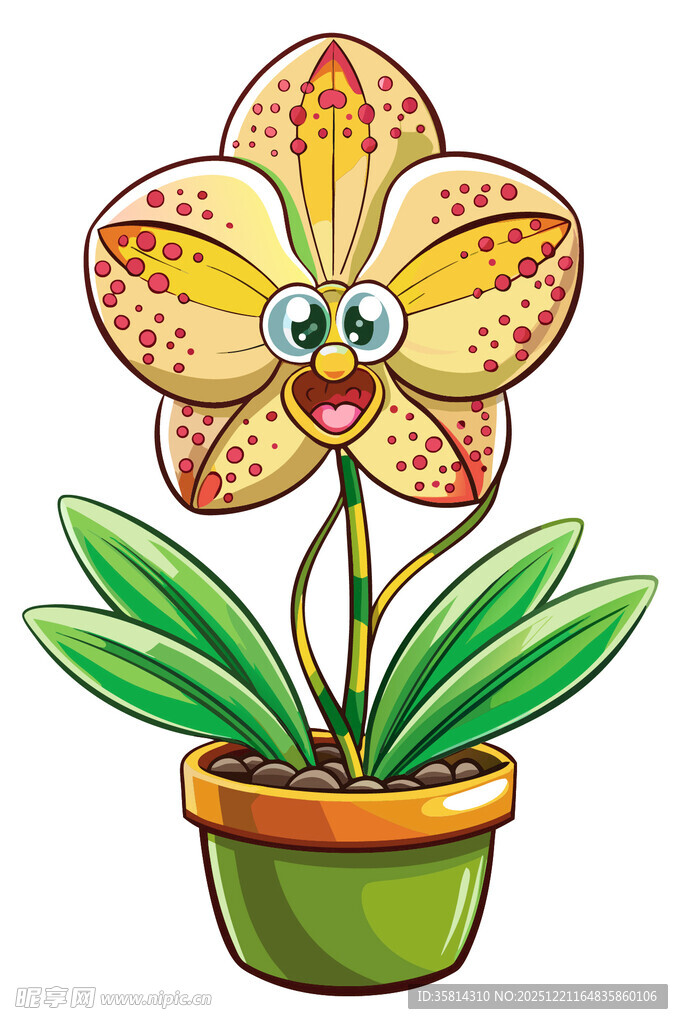 可爱卡通兰花盆栽