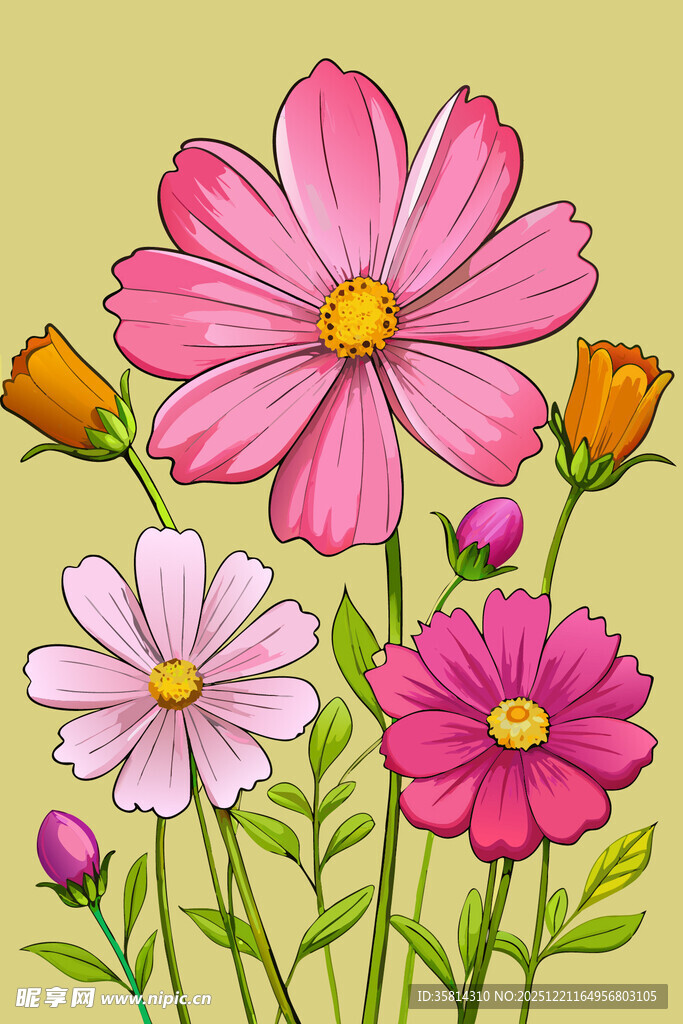 多彩格桑花插画