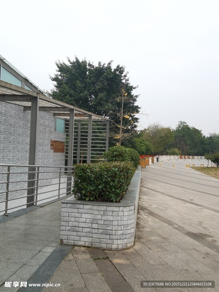 户外建筑旁的绿植景观