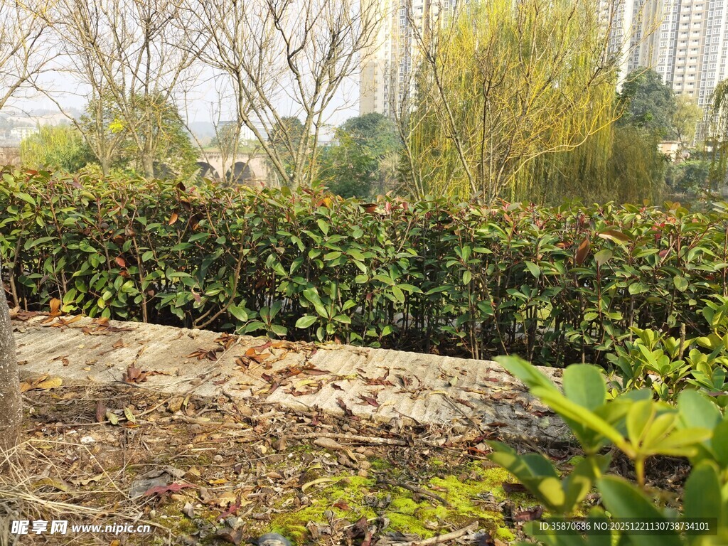 户外绿植景观一角